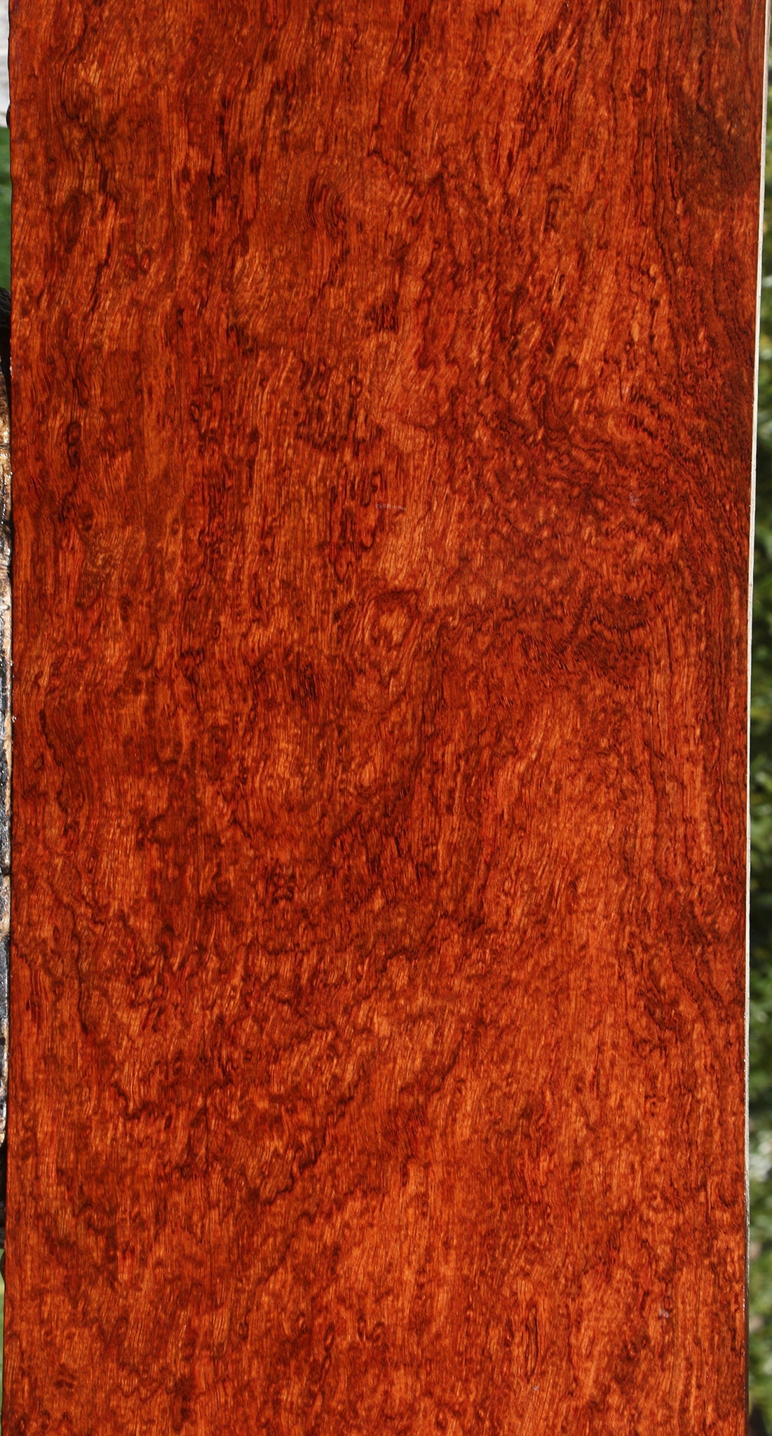 Exhibition Bubinga Lumber