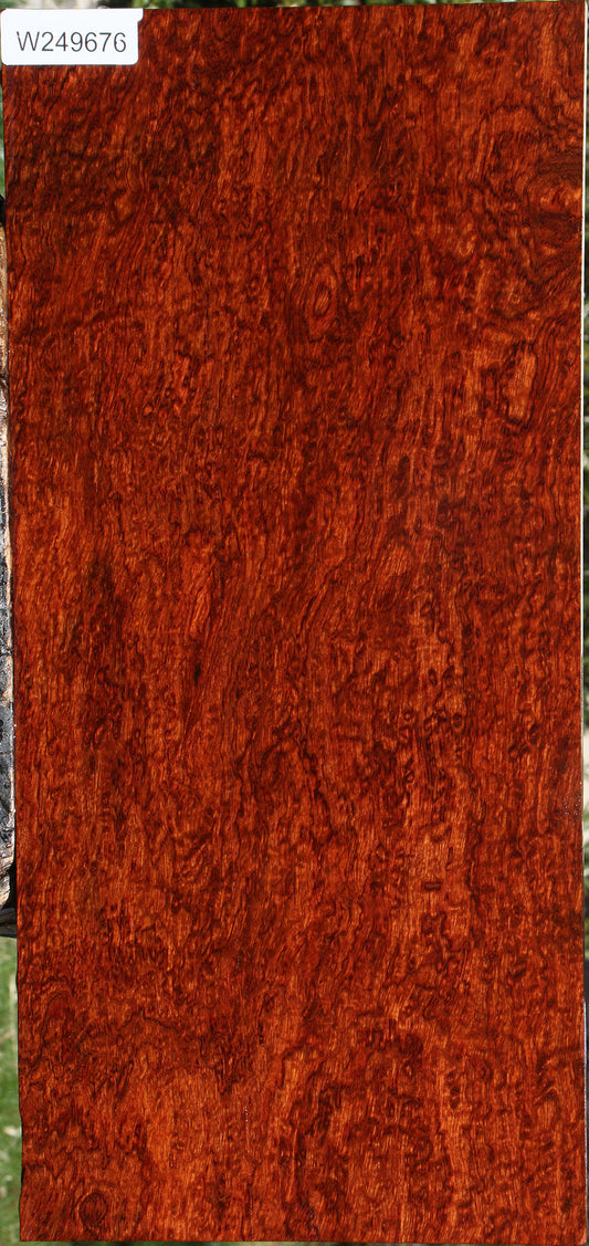 Extra Fancy Bubinga Lumber