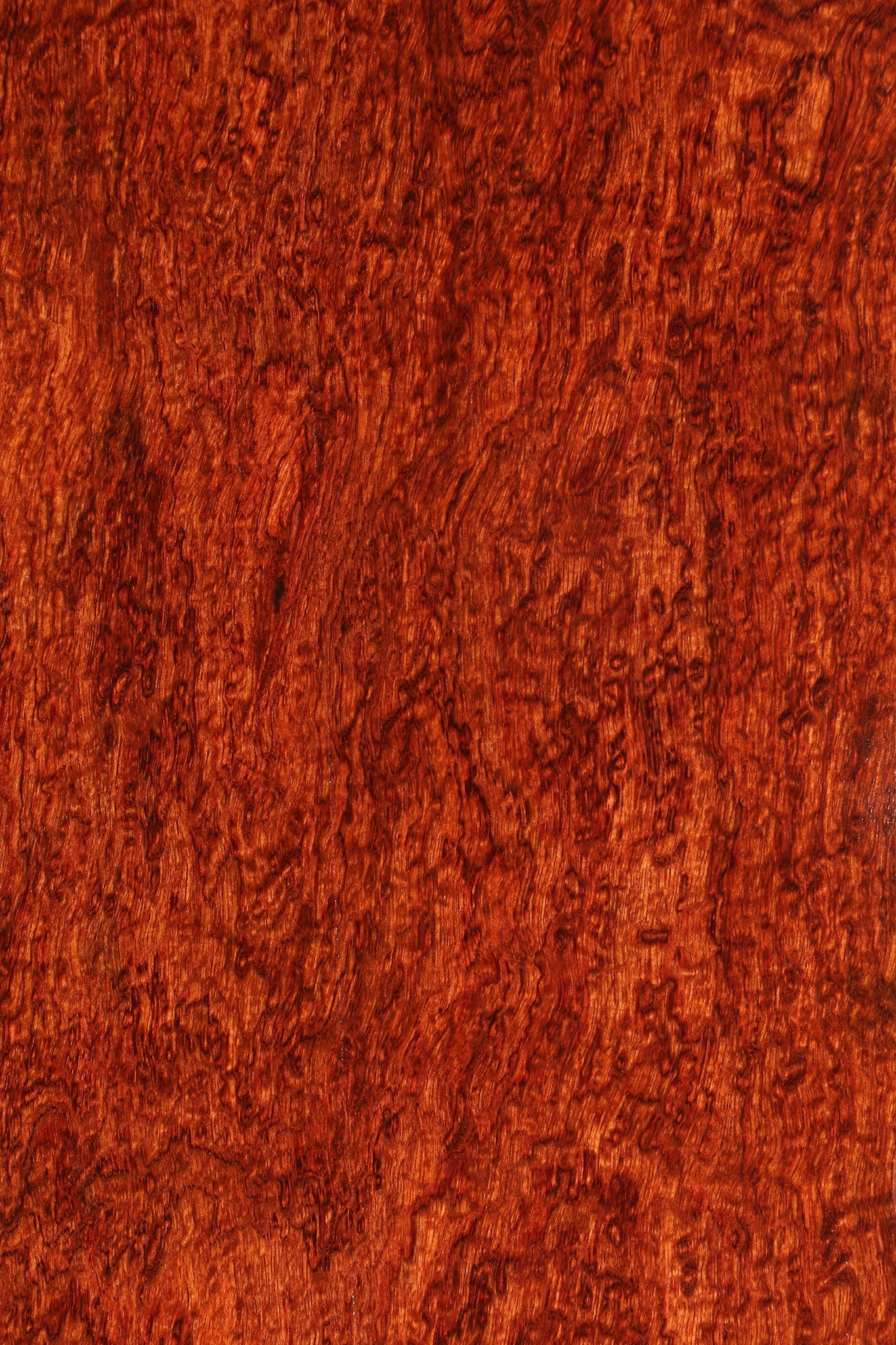 Extra Fancy Bubinga Lumber