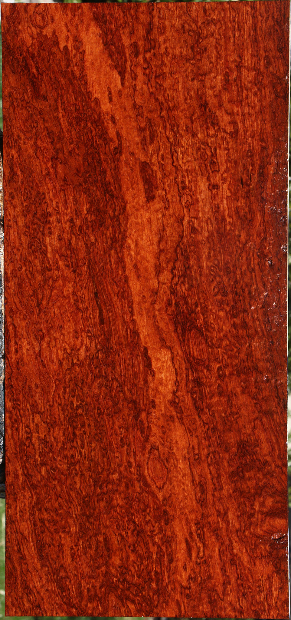 Extra Fancy Bubinga Lumber