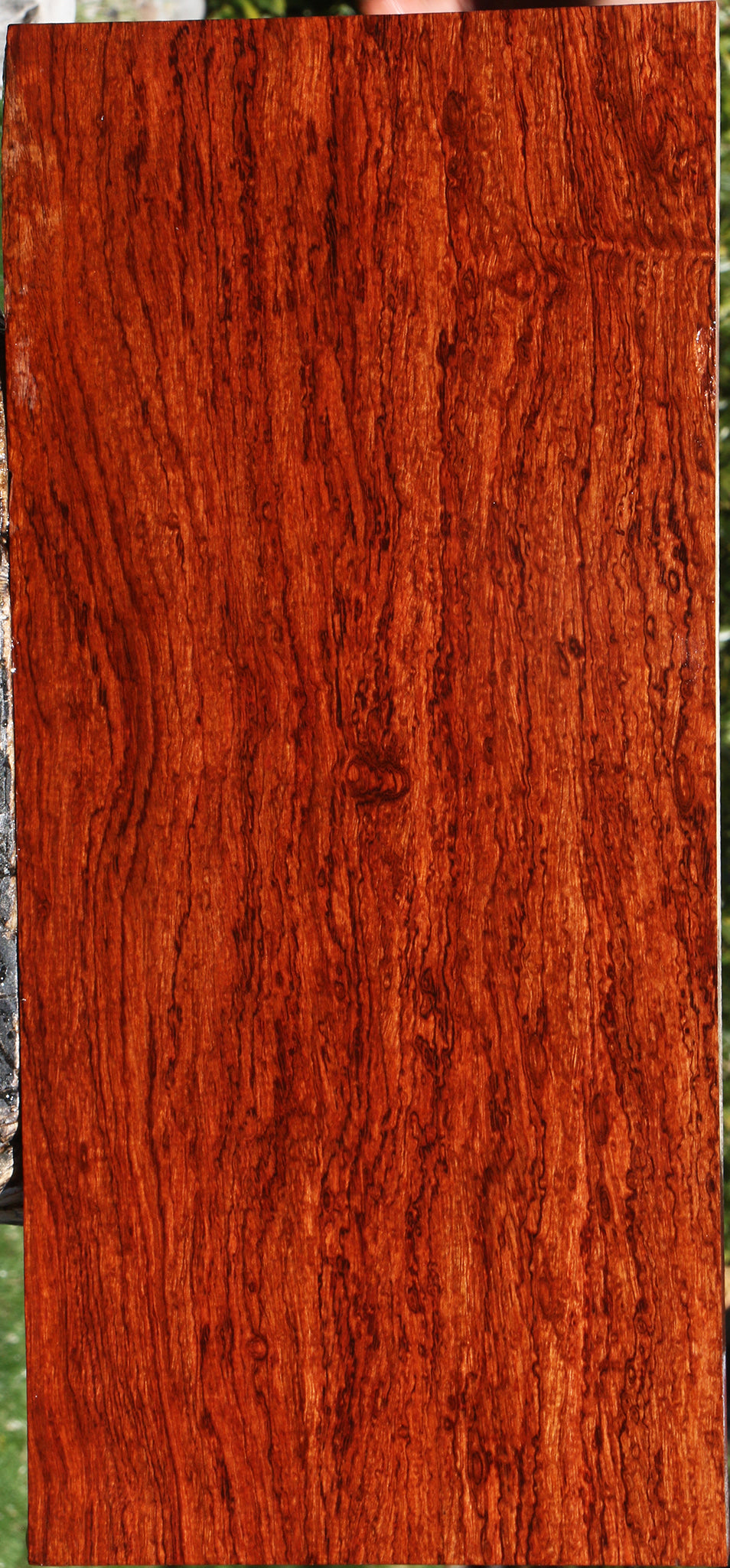Exhibition Bubinga Instrument Lumber