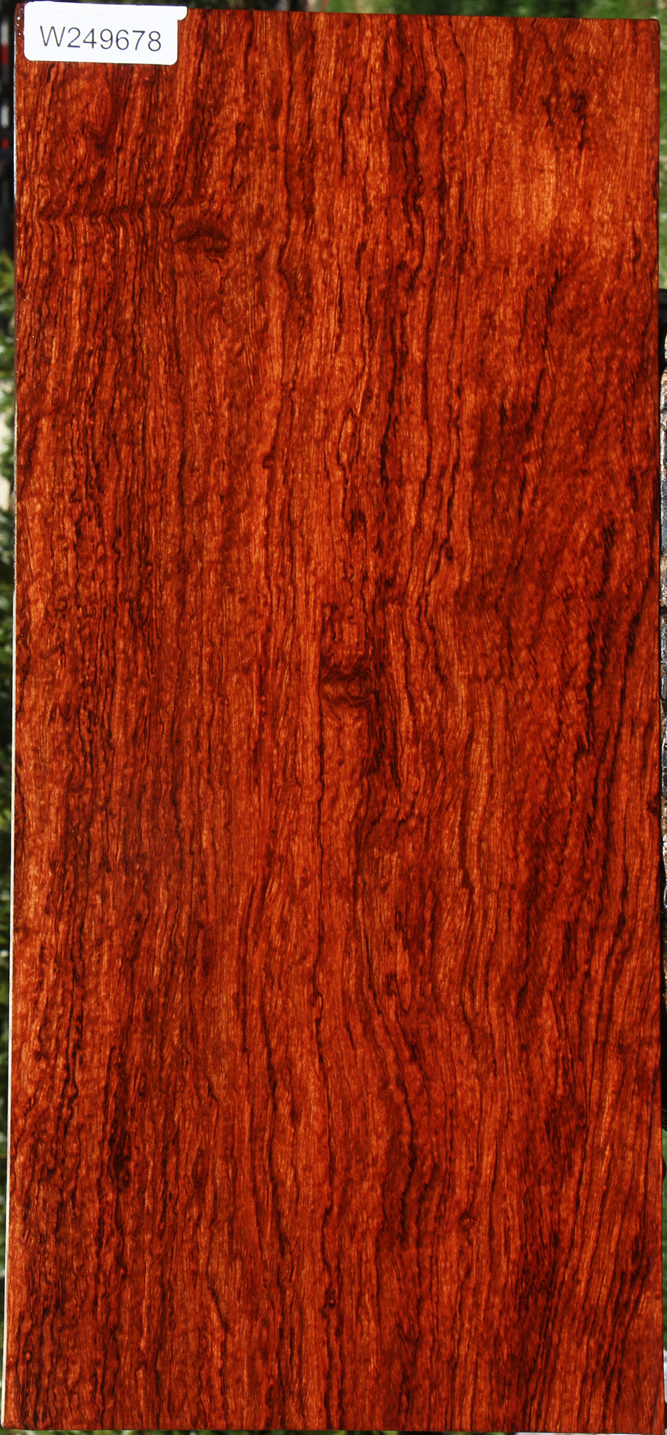 Exhibition Bubinga Instrument Lumber