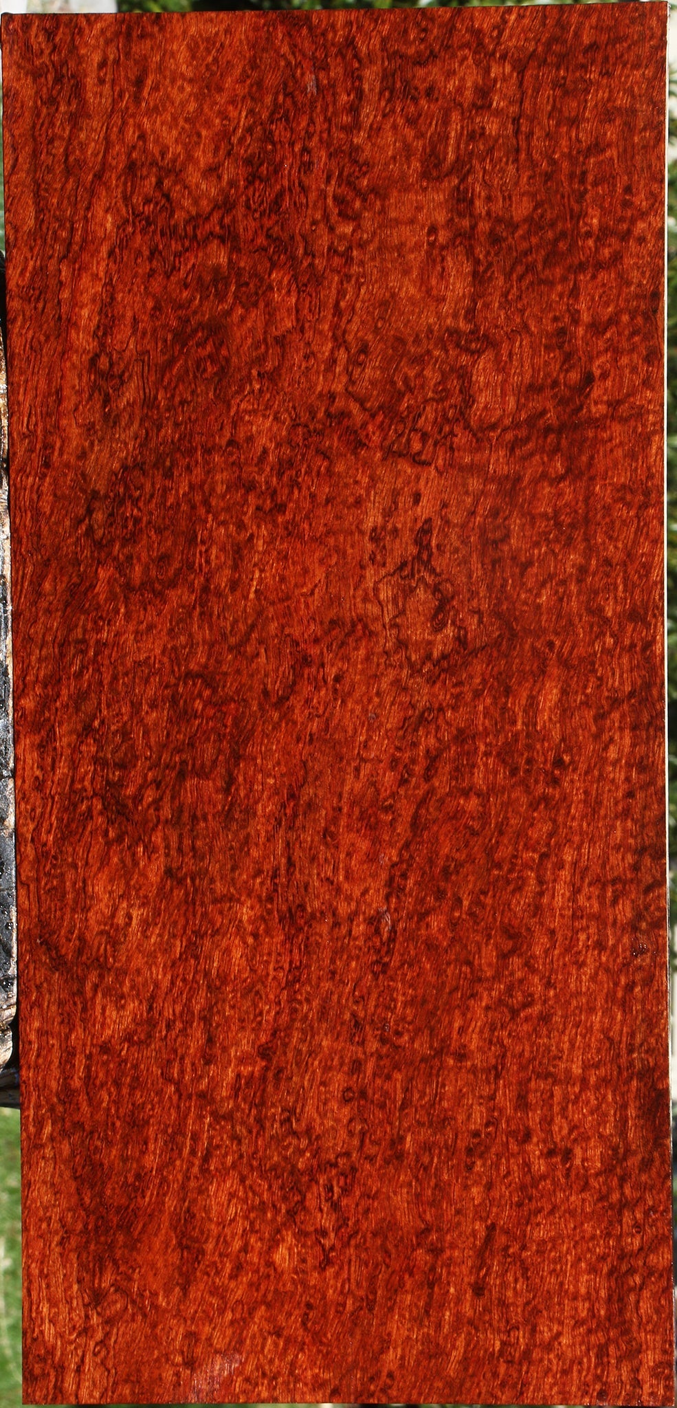 Exhibition Bubinga Instrument Lumber