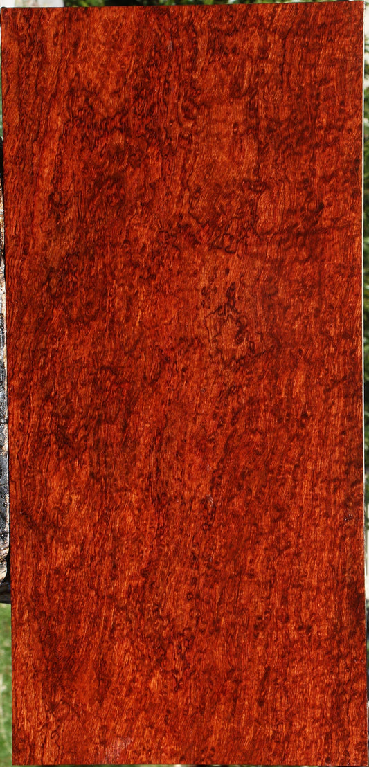 Exhibition Bubinga Instrument Lumber
