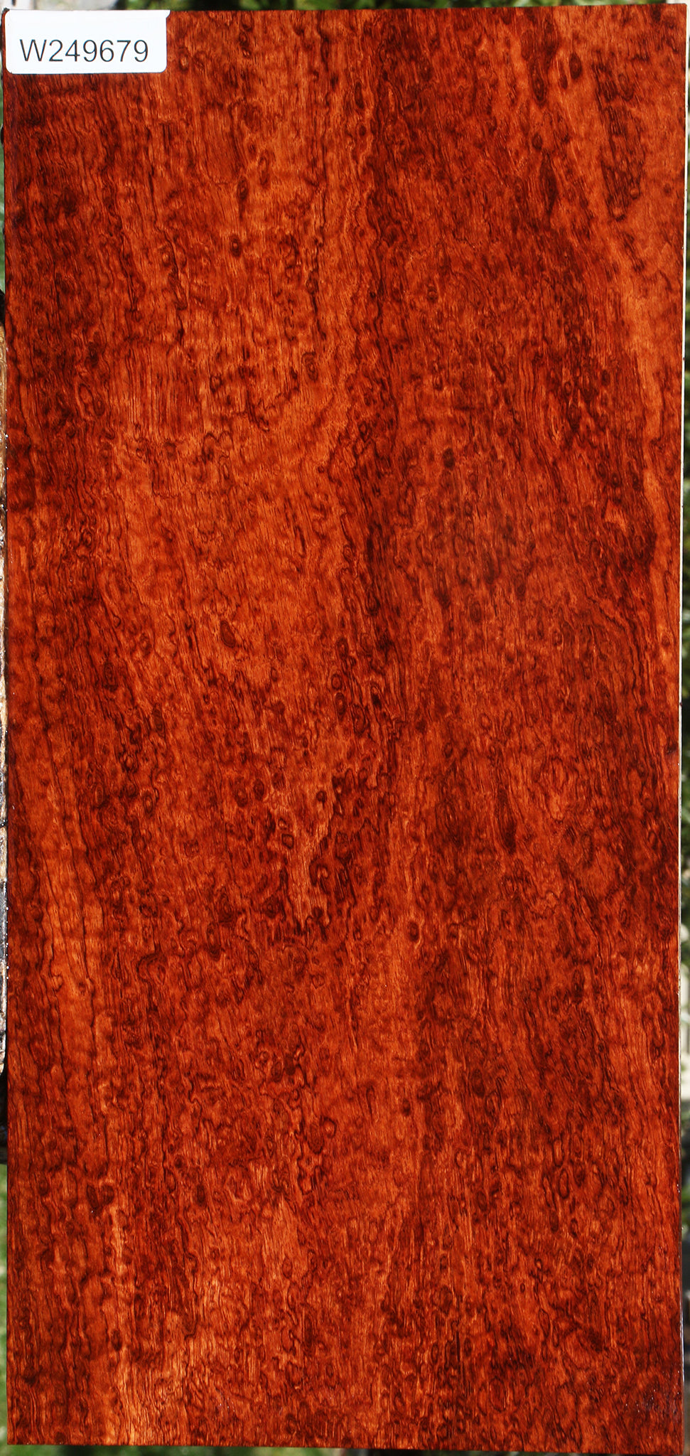 Exhibition Bubinga Instrument Lumber