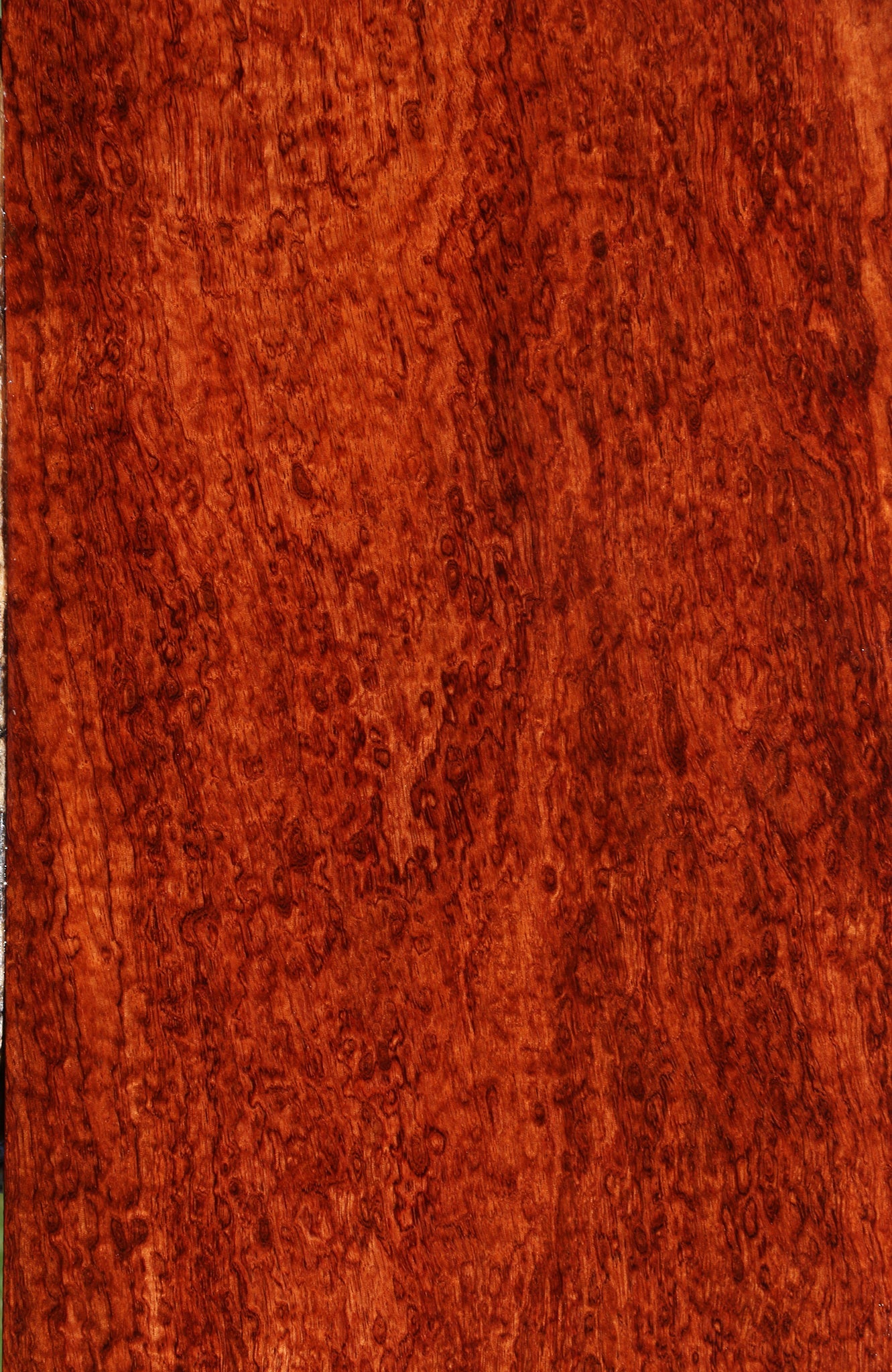 Exhibition Bubinga Instrument Lumber