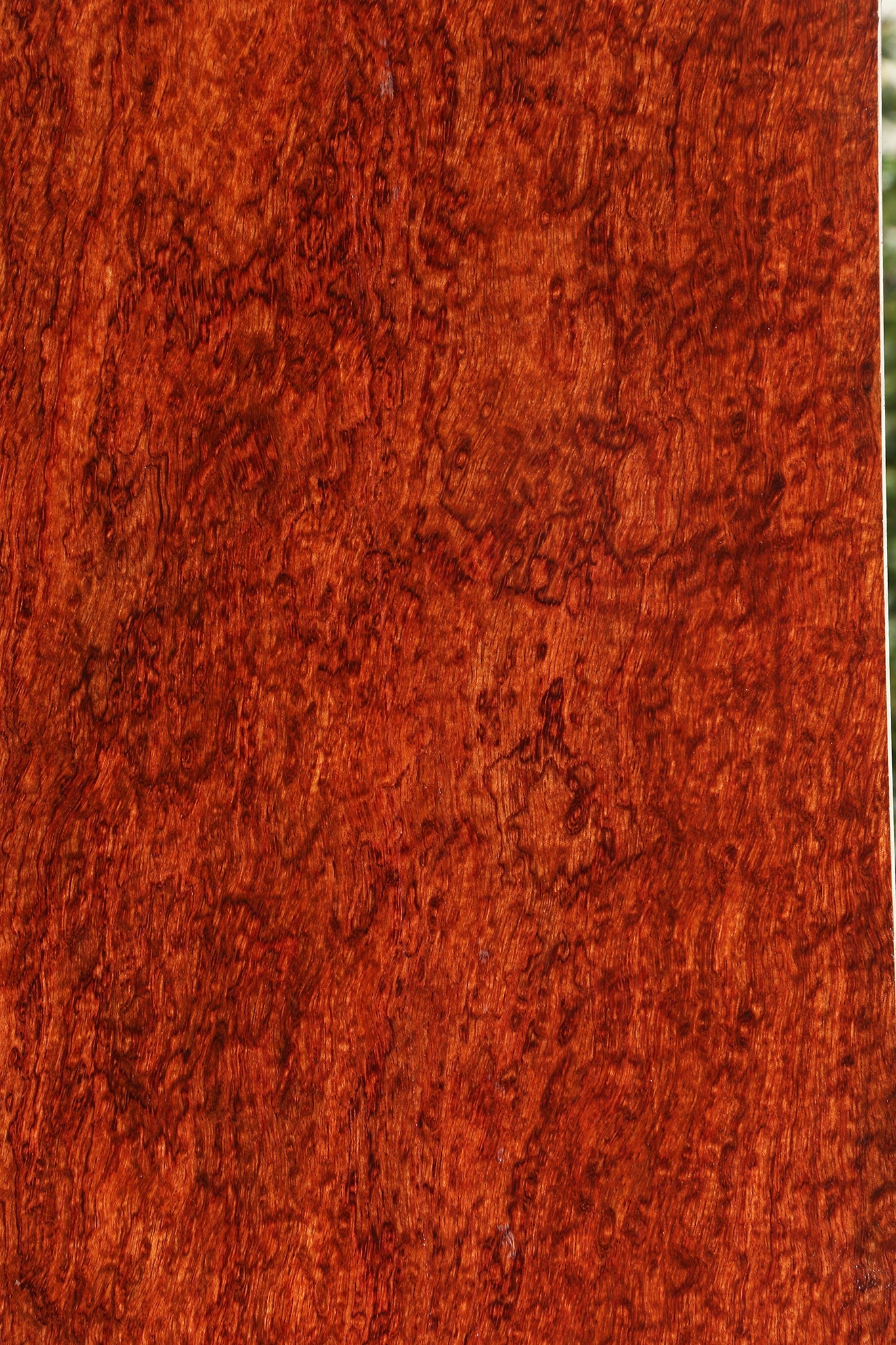 Exhibition Bubinga Instrument Lumber