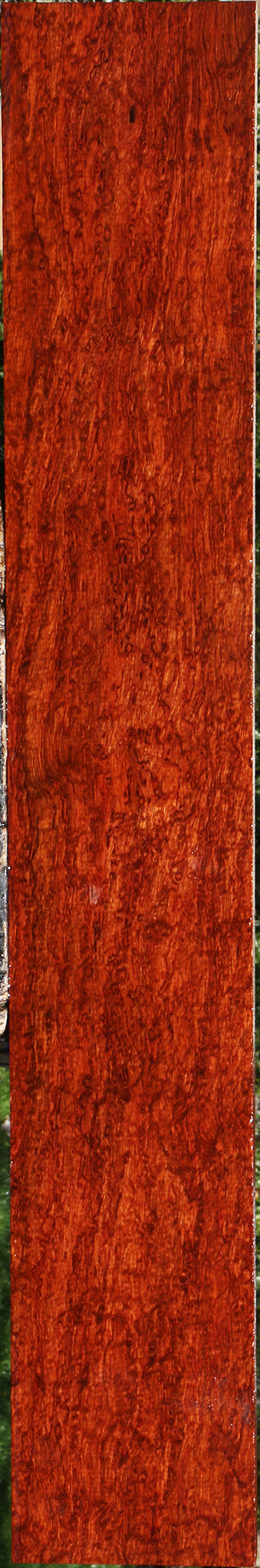 Exhibition Bubinga Instrument Lumber