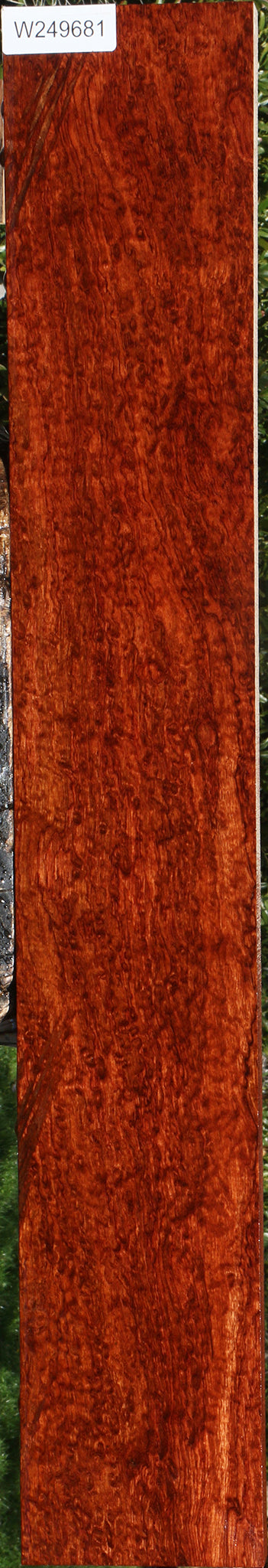 Exhibition Bubinga Instrument Lumber