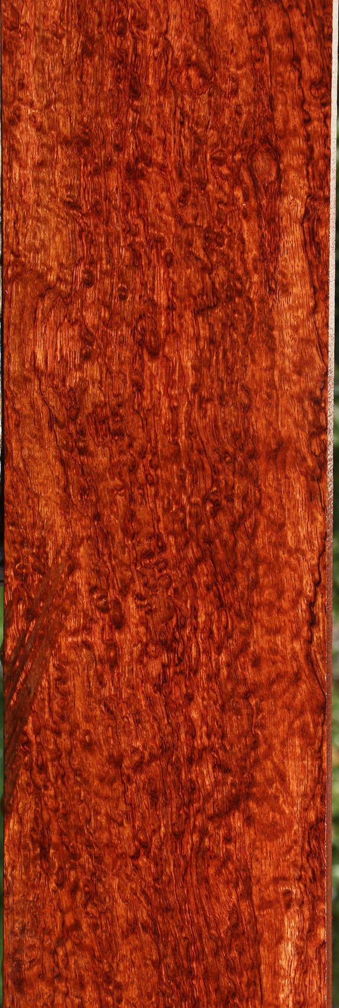 Exhibition Bubinga Instrument Lumber
