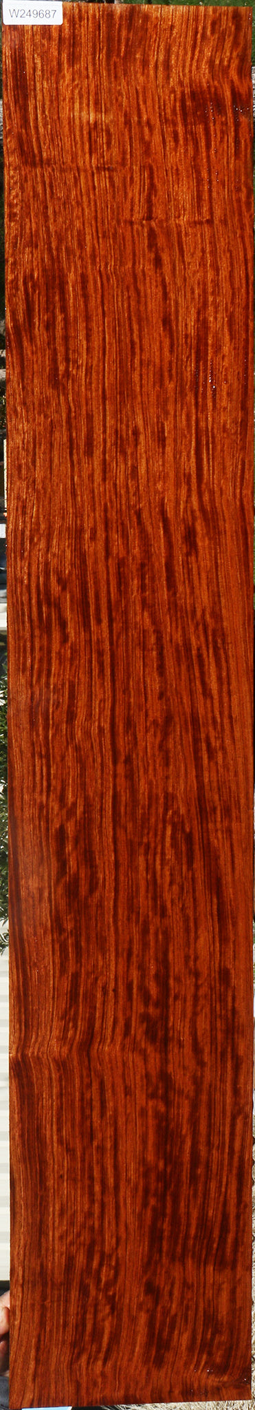 Extra Fancy Quartersawn Bubinga Lumber