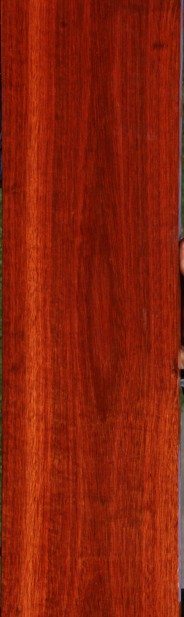 Figured Bloodwood Lumber