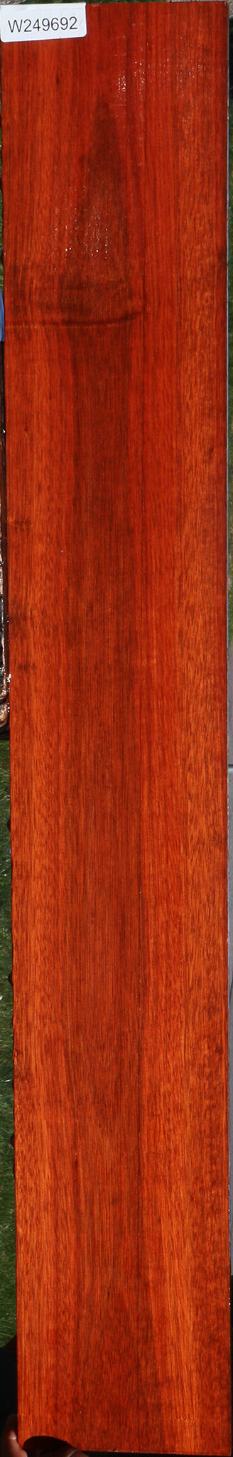 Bloodwood Lumber