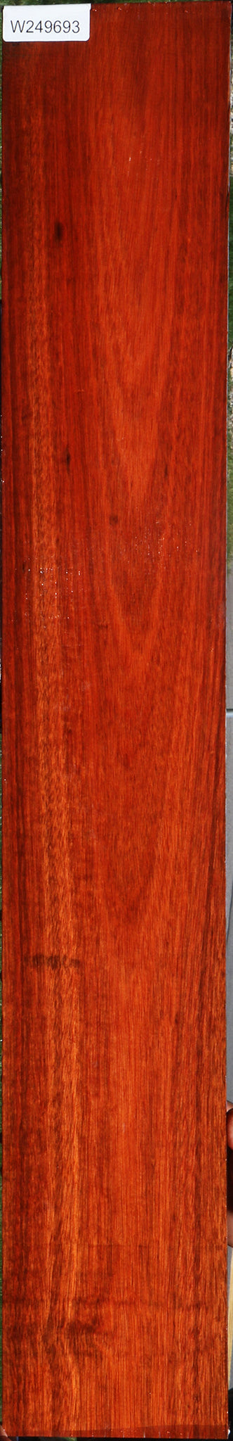 Bloodwood Micro Lumber