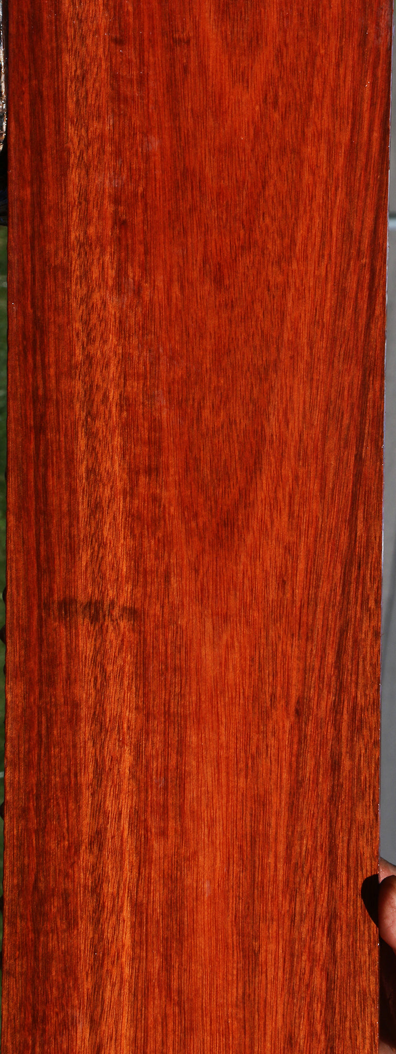 Bloodwood Micro Lumber