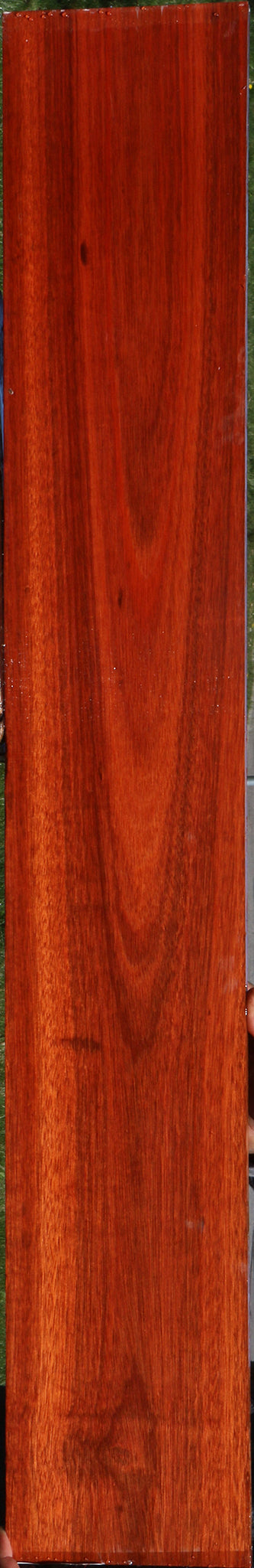 Bloodwood Micro Lumber