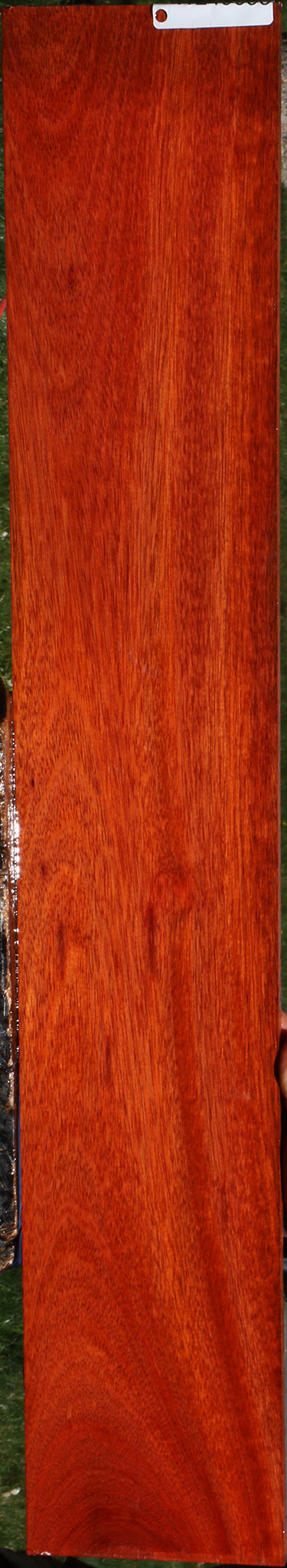 Bloodwood Micro Lumber