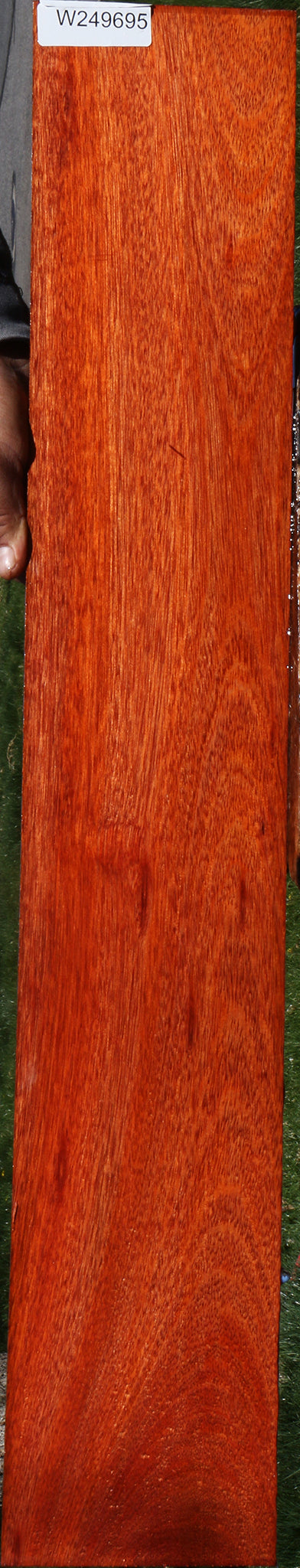 Bloodwood Micro Lumber