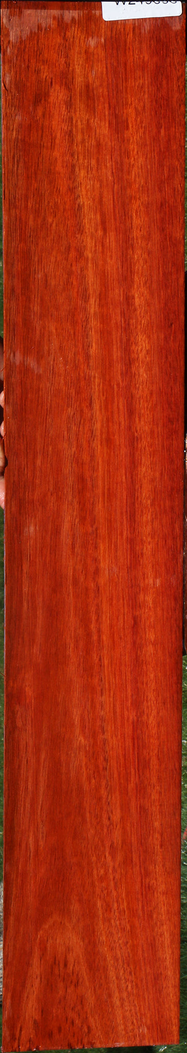 Bloodwood Micro Lumber