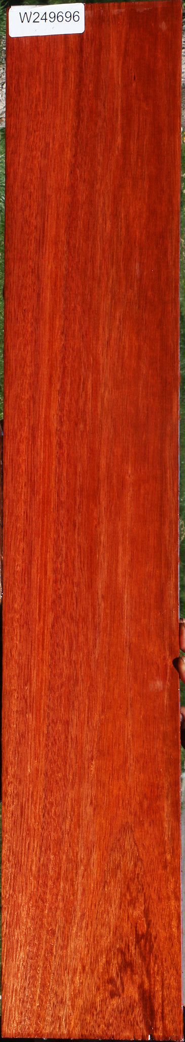 Bloodwood Micro Lumber