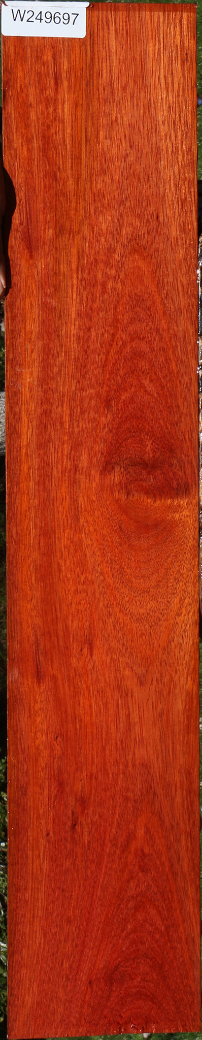 Bloodwood Micro Lumber