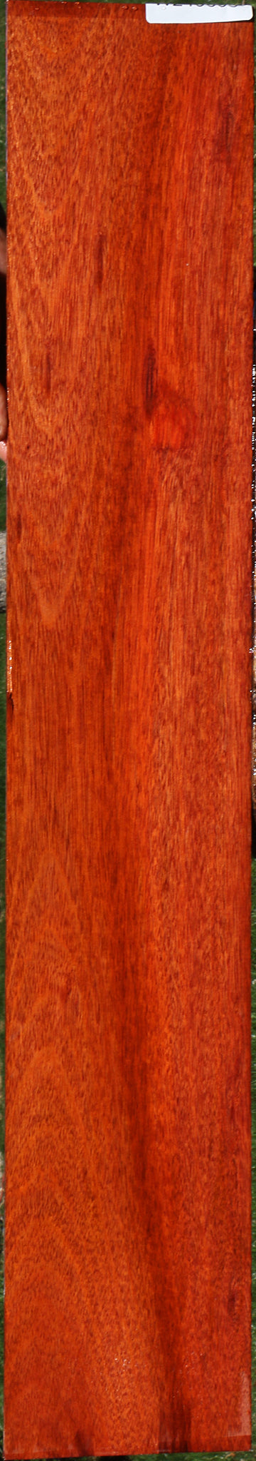 Bloodwood Micro Lumber