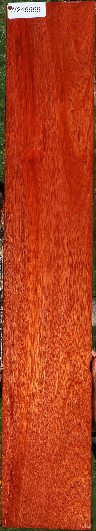 Bloodwood Micro Lumber