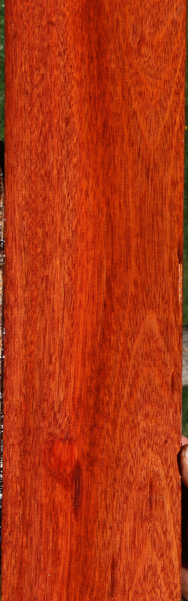Bloodwood Micro Lumber