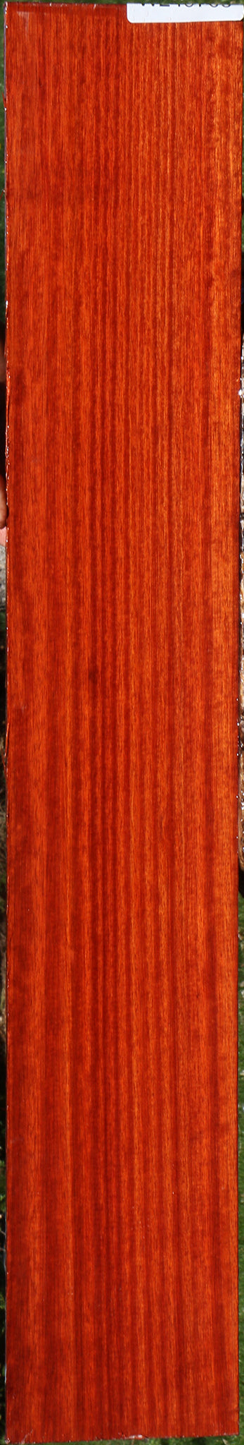 Quartersawn Bloodwood Micro Lumber