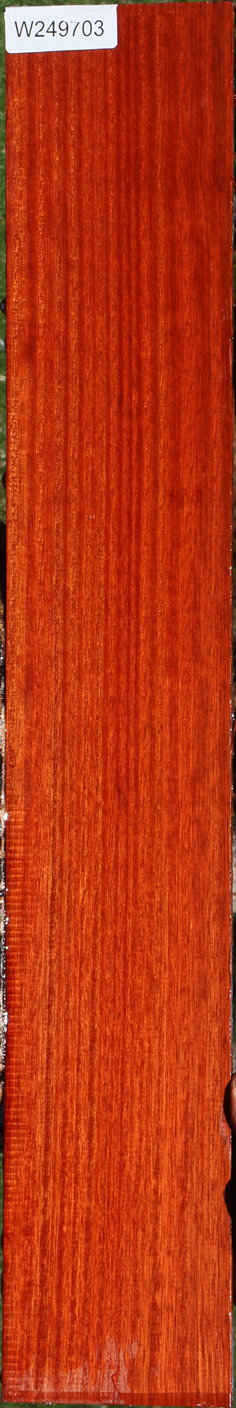 Quartersawn Bloodwood Micro Lumber
