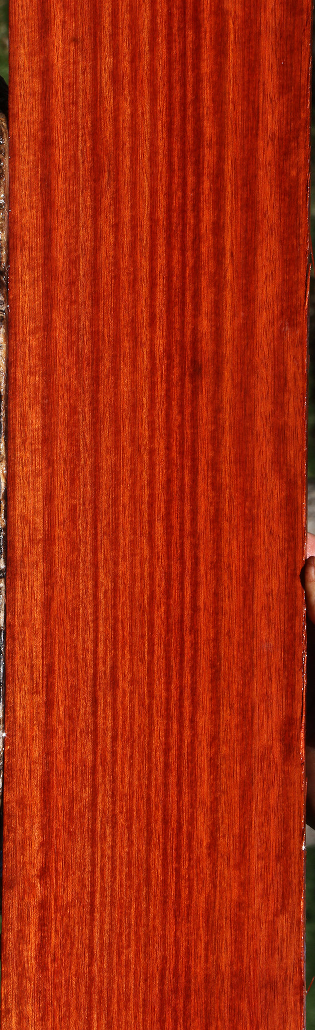 Quartersawn Bloodwood Micro Lumber