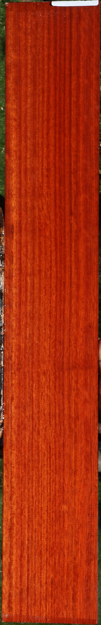 Quartersawn Bloodwood Micro Lumber