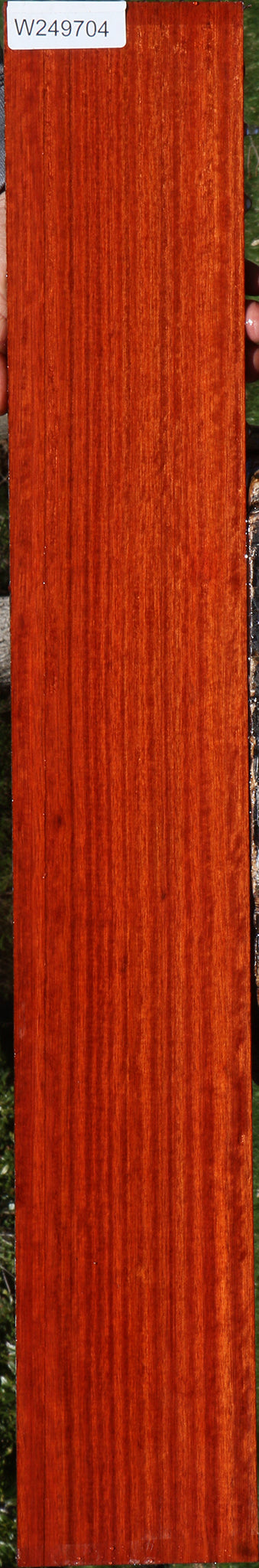 Quartersawn Bloodwood Micro Lumber