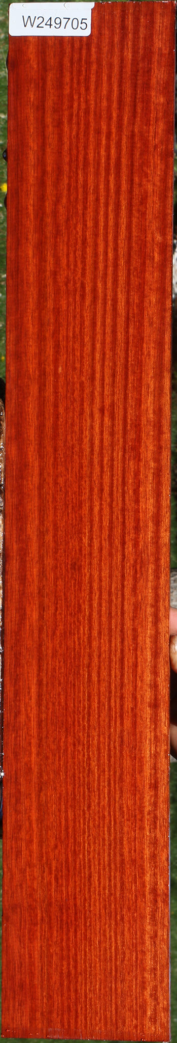 Quartersawn Bloodwood Micro Lumber
