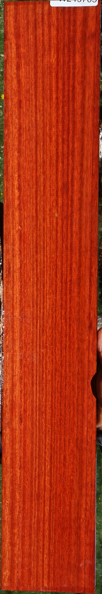 Quartersawn Bloodwood Micro Lumber