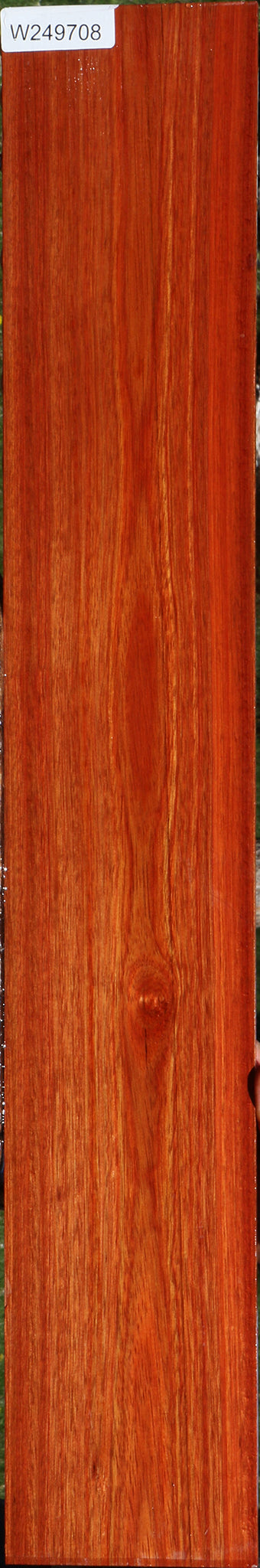 Bloodwood Micro Lumber