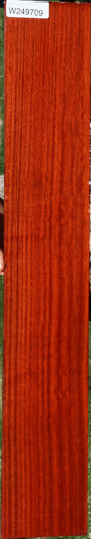 Bloodwood Micro Lumber
