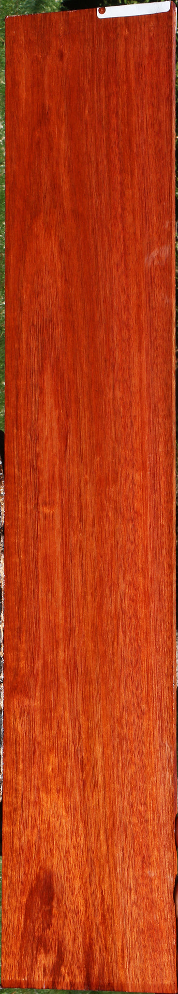 Bloodwood Micro Lumber
