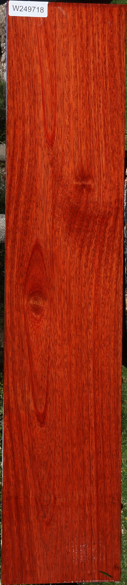 Bloodwood Lumber