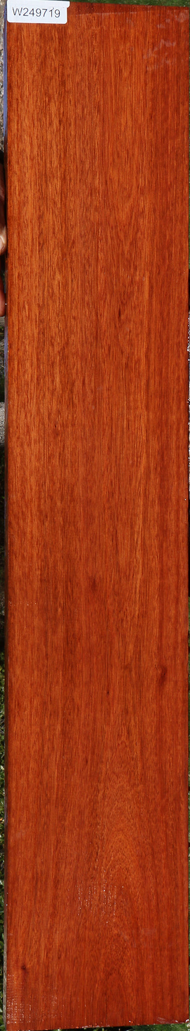 Bloodwood Lumber