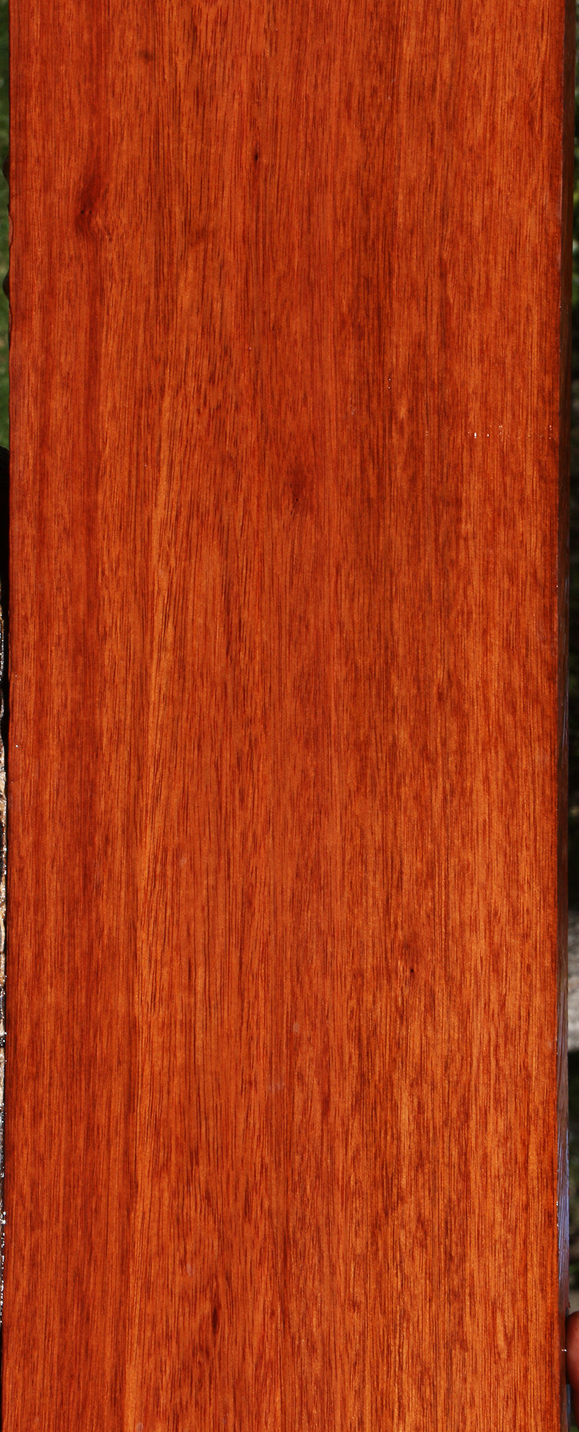 Bloodwood Lumber