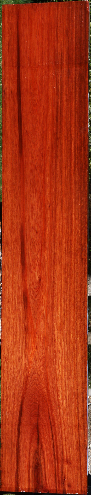 Bloodwood Lumber