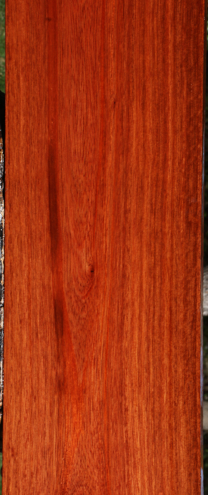 Bloodwood Lumber