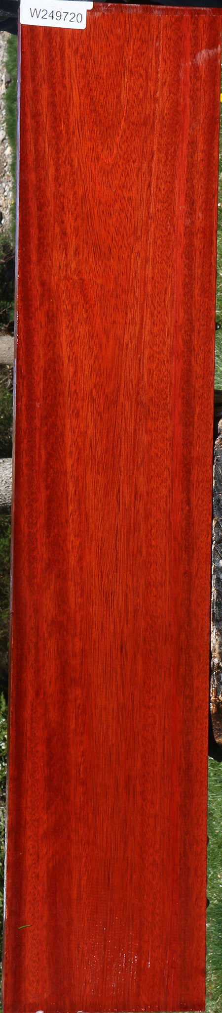 Bloodwood Lumber