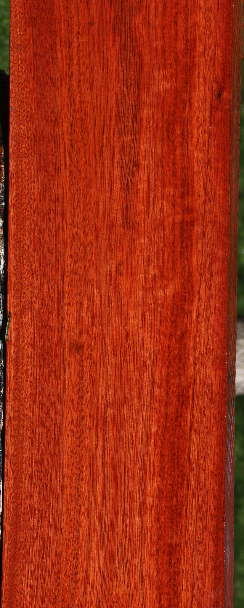 Bloodwood Lumber
