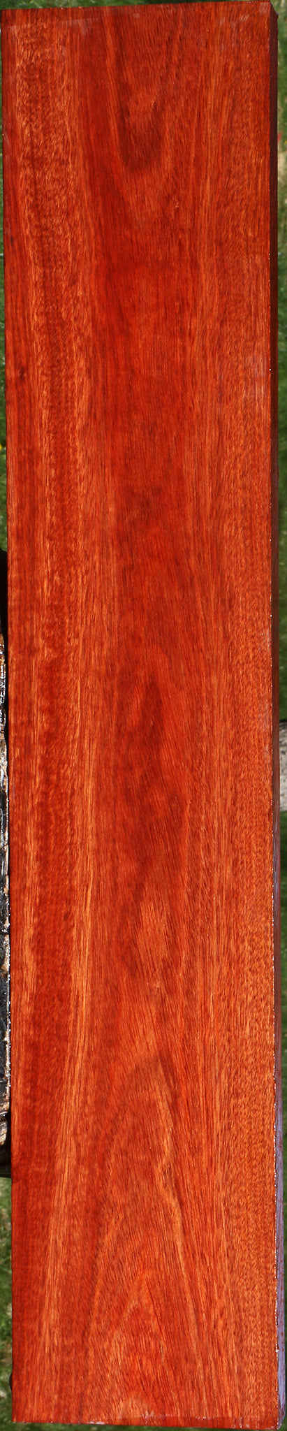 Bloodwood Lumber
