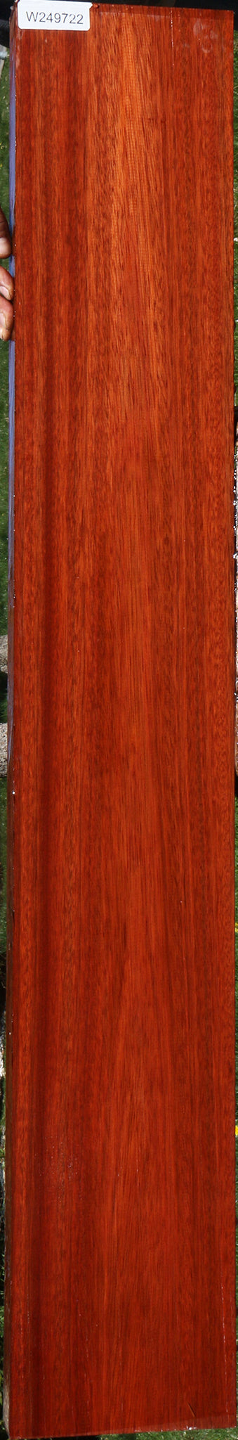 Bloodwood Lumber