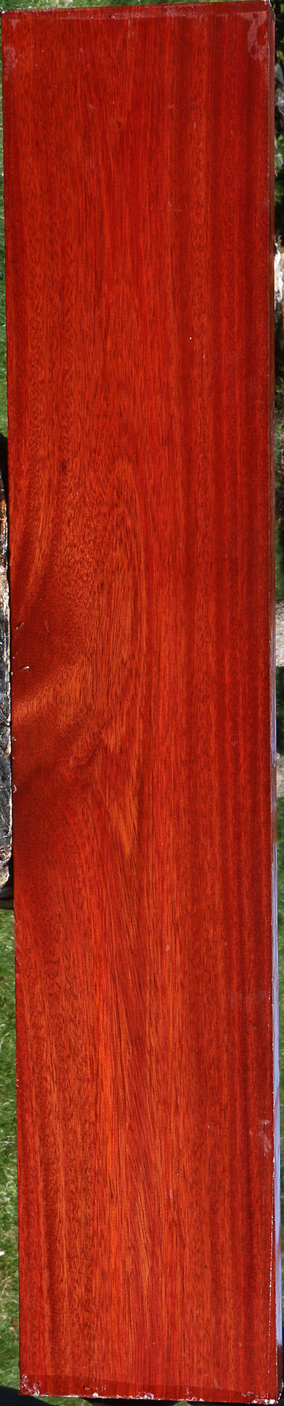 Bloodwood Lumber