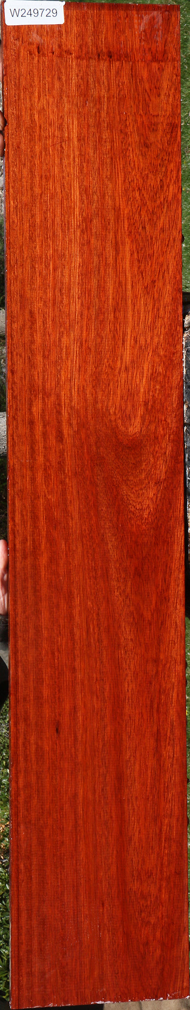 Figured Bloodwood Lumber