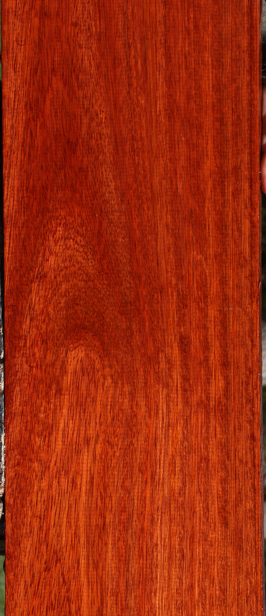 Figured Bloodwood Lumber